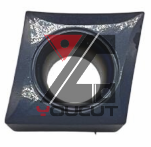 CCGT060204-ML-YG2105