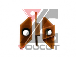 CTPA30FL-L8.0-YG1015