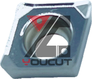 CCGT060204-AL-YN310