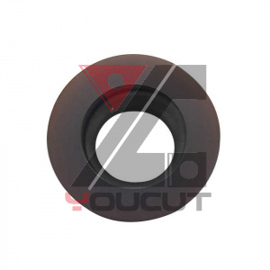RPMW1003MOT-YG2125